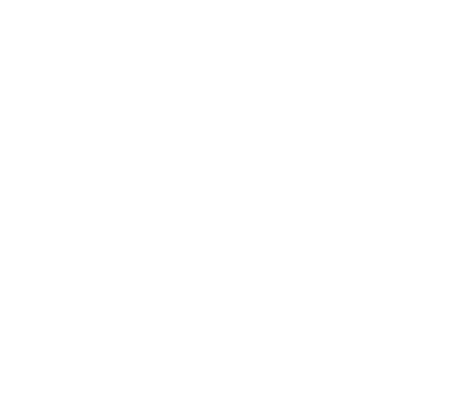 The Pennsylvania Steel Alliance